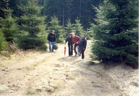 Brocken 03